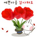 정말 억울 해요 이미지