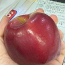 다요메디칼 | 🤎 감기조심 🤎