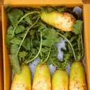 천수농장 이미지