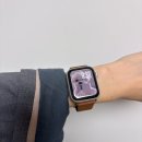 제일직물 | 애플워치SE3 40mm 및 직물 모던버클 캐러멜 스트랩 구매 후기, 손목 얇은 분들도 추천!