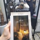 아카시아미용실 - 영광군 신남로4길 7 | <CQR 체험단> 비건 미용실 아쳅토 후기