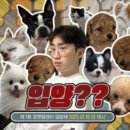 포캣 네이버블로그