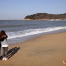 바다의형상 이미지