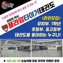 플라잉타이거태권도 이미지