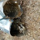 부식농장 이미지