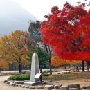 갈산-비상-3 이미지
