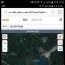 반곡제 Daum카페
