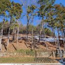 보성공인중개사 이미지