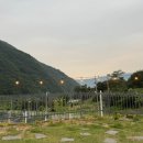 일신축산 이미지