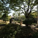 서울시립대학교 박물관 이미지