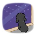 오블리 동물병원 이미지