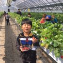 김태경 농장 이미지