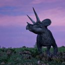 트리케라톱스-2 이미지