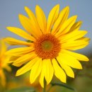 금호강3 이미지