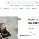 2026. 3. 9 이미지