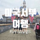 우림카인테리어 | [미국서부여행] LA 디즈니랜드 완전 정복✨ 놀이기구 16개 후기 &amp; 꿀팁