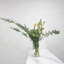 더드림공동생활가정 화장실 | 정왕역 정왕오피스텔과 스카이드림시티 도시형생활주택 원룸을 비교해 볼까요?