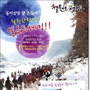 주상절리먹거리 Daum카페
