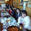 (주)제주유리의성 Daum카페