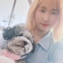 지헤어 이미지