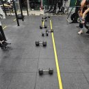 크로스핏 팬텀 | 유쾌한 코치님들과 땀 흘리는 재미, 크로스핏 팬텀 첫 방문기