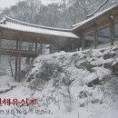 어은초교 이미지