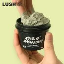 러쉬(LUSH) 이미지