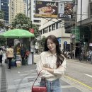 흔하지 않은 여름백 추천 스탠드오일 디토 숄더백 레드 와인 29cm 내돈내산 후기