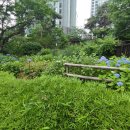 반포정공인중개사사무소 이미지