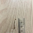 더 마루 이미지