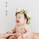 시니스냅 이미지