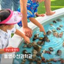 수산과학관 | 통영 아이랑 가볼만한곳으로 살아있는 해양생물 체험 통영수산과학관 방문후기