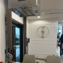 디나우스 이미지