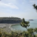 길도(죽도) 네이버블로그