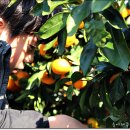 태완농장 이미지