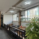 금당 우리집 오리 이미지