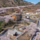 월아산자락 - 사하구 낙동남로1405번길 10-11 | 월아산자락