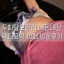 닥터모락 파주운정점 | 남편 두피 건강과 탈모를 위해 방문한 닥터모락 내돈내산 후기