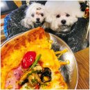 볼트피자 | 부산 광안리 피자 맛집 오션뷰 오비피씨 obpc 피맥 추천 오션뷰 애견동반 실내 내돈내산 후기