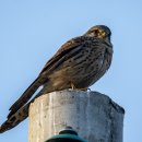 예산농장 이미지