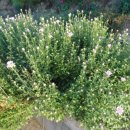 두일농장 이미지