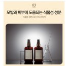 온화사 이미지