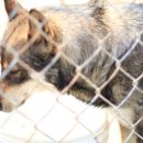 모리농장 이미지