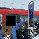 불동네슈퍼마켓 | [KSEEDZ] 이탈리아 가정식 후기