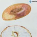 색연필 일러스트 이미지