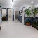 산호대로-17 네이버블로그