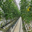 행복농장 6 이미지