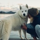 오메가플러스 이미지