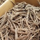 더덕초리(식당용/반찬용/장아찌용/반찬용/믹서용/막술용) 더덕가루 판매합니다 이미지