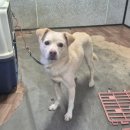 소답동225 이미지